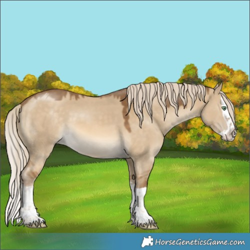 Horse Color:Chocolate Palomino Dun Splash 