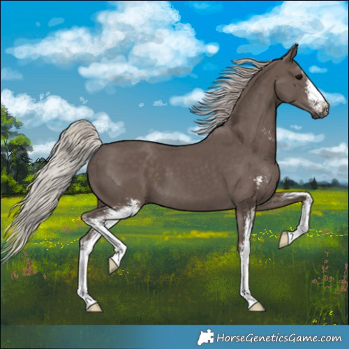 Horse Color:Silver Black Sabino
