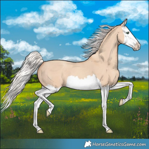 Horse Color:Silver Classic Champagne Dun Splash