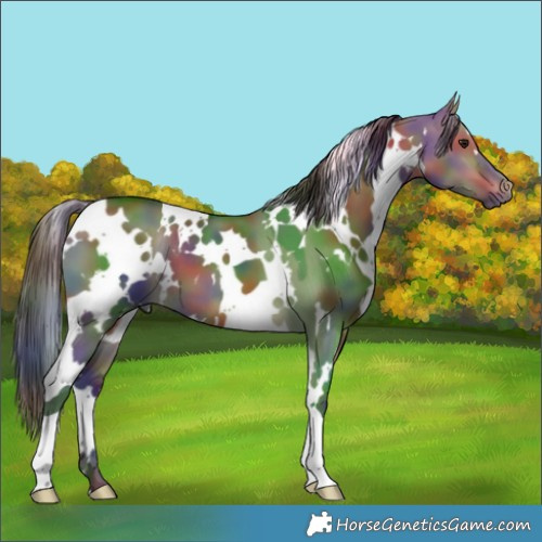 Horse Color:Nacre White Spotted Bay Dun 
