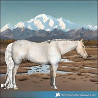 Horse Color:White Spotted Silver Smoky Blue Roan Pearl 