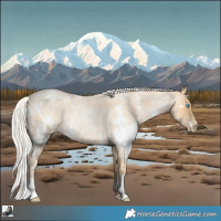 Horse Color:White Spotted Silver Smoky Blue Roan Pearl