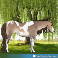 Horse Color:Brown Dun Tobiano Frame Varnish 