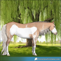 Horse Color:Silver Bay Dun Sabino Frame 