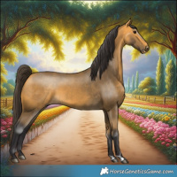 Horse Color:Buckskin 