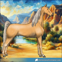 Horse Color:Palomino 