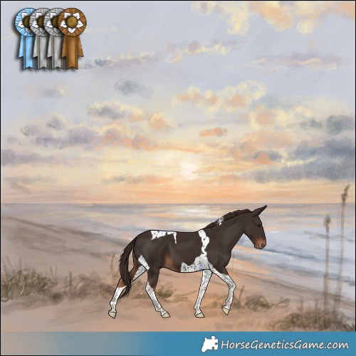 Horse Color:Liver Chestnut Tobiano 