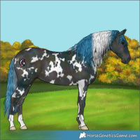 Horse Color:Watercolor White Spotted Midnight Brown Ice Onyx