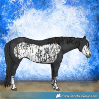 Horse Color:Black  and Black Frame 