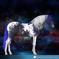 Horse Color:Watercolor Midnight Brown Ice Mushroom Tobiano 