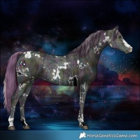 Horse Color:Watercolor White Spotted Midnight Red Onyx Ice 