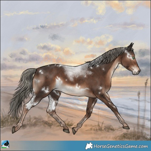 Horse Color:White Spotted Liver Chestnut Mushroom Rabicano 