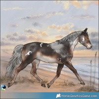 Horse Color:White Spotted Liver Chestnut Mushroom Rabicano