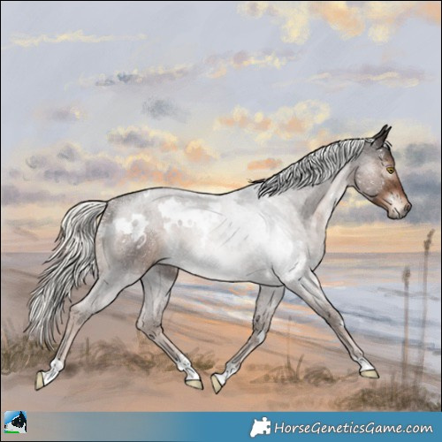 Horse Color:White Spotted Liver Chestnut Mushroom Rabicano