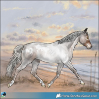 Horse Color:White Spotted Liver Chestnut Mushroom Rabicano