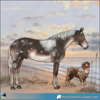 Horse Color:White Spotted Liver Chestnut Mushroom Rabicano 