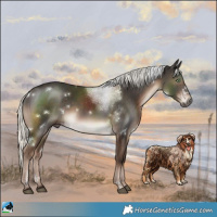 Horse Color:White Spotted Liver Chestnut Mushroom Rabicano