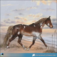 Horse Color:White Spotted Liver Chestnut Tobiano