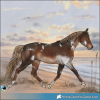 Horse Color:White Spotted Liver Chestnut Tobiano