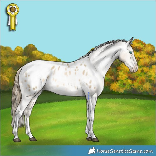 Horse Color:White Spotted Black Snowdrop Pearl Tobiano Blanket Rabicano 