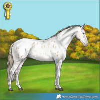 Horse Color:White Spotted Black Snowdrop Pearl Tobiano Blanket Rabicano