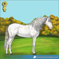 Horse Color:White Spotted Black Snowdrop Pearl Tobiano Appaloosa Rabicano 