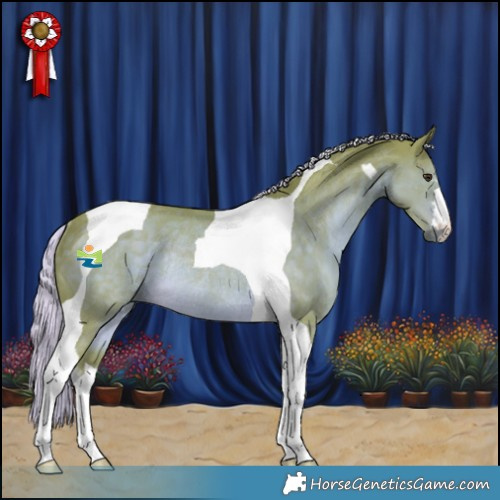 Horse Color:Watercolor Chocolate Palomino Tobiano Rabicano 