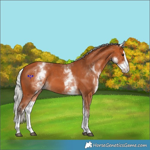Horse Color:White Spotted Silver Bay Splash 