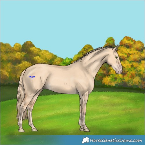 Horse Color:Gold Champagne Dun 