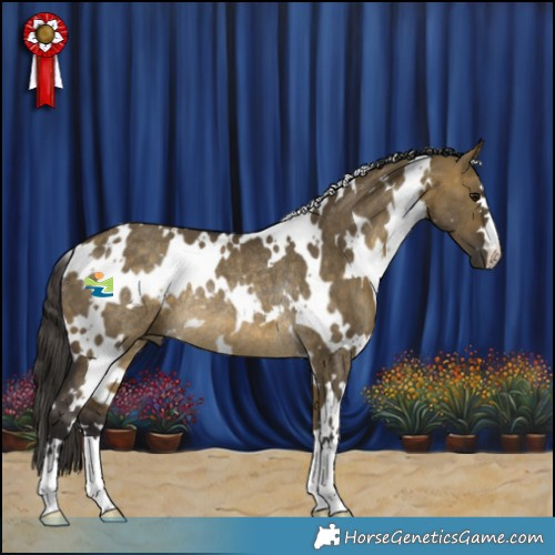 Horse Color:White Spotted Buckskin Dun Rabicano 