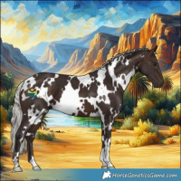 Horse Color:White Spotted Silver Brown 