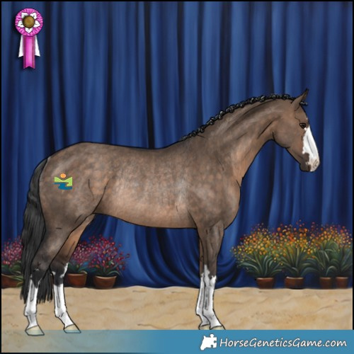 Horse Color:Brown Dun Rabicano 