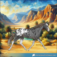Horse Color:Liver Chestnut Splash Appaloosa Rabicano 