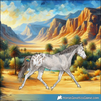 Horse Color:Liver Red Dun Splash Appaloosa Rabicano Brindle 