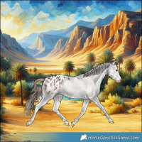 Horse Color:Liver Red Dun Splash Appaloosa Rabicano Brindle 