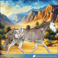 Horse Color:Liver Red Dun Sabino Splash Appaloosa Rabicano Brindle 