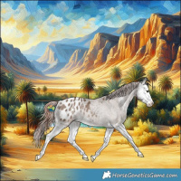 Horse Color:Liver Red Dun Sabino Splash Appaloosa Rabicano Brindle 