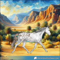 Horse Color:Liver Red Dun Sabino Splash Blanket Rabicano Brindle 