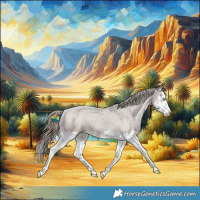 Horse Color:Liver Red Dun Splash Appaloosa Rabicano Brindle 