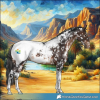 Horse Color:White Spotted Brown Tobiano Appaloosa Rabicano 