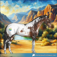 Horse Color:White Spotted Brown Tobiano Appaloosa Rabicano 
