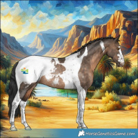 Horse Color:Brown Dun Tobiano Appaloosa Rabicano