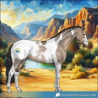 Horse Color:Brown Dun Tobiano Appaloosa Rabicano 