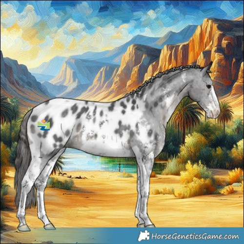 Horse Color:Black Sabino Tobiano Blanket Rabicano 