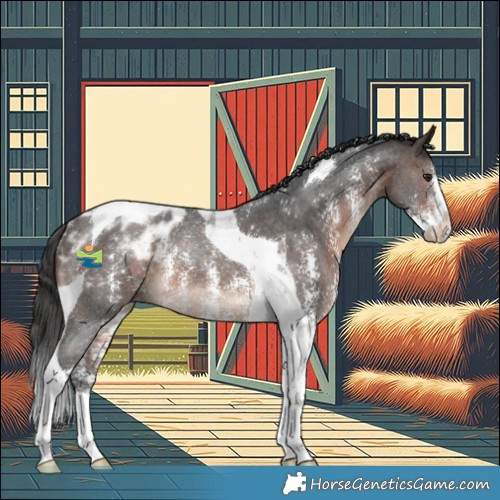 Horse Color:Brown Sabino Tobiano Appaloosa Rabicano 