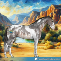 Horse Color:Brown Sabino Tobiano Appaloosa Rabicano 
