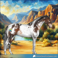 Horse Color:White Spotted Brown Tobiano Appaloosa 