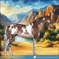 Horse Color:White Spotted Silver Brown Tobiano 