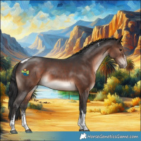 Horse Color:Brown Sabino Tobiano 