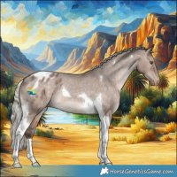 Horse Color:Silver Brown Dun Tobiano Appaloosa 